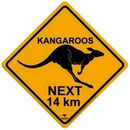 Kangaroos