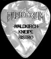 Plektrum